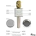 Finity Wireless Q7 Karaoke Microphone, Portable Handheld Bluetooth Condenser Microphone and Speaker Iphone and Android by Finity (Gold)
