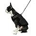 Gooby Fashion Vest Dog Jacket - Black, X-Large - Warm Zip Up Bomber Vest with Dual D Ring Leash - Winter Water Resistant Small Dog Sweater