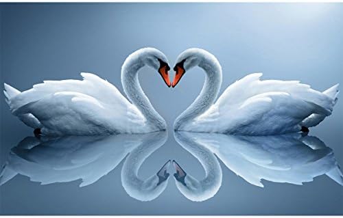 Blxecky 5D DIY Diamond Painting by Number Kits,swan(1216inch/30X40CM)