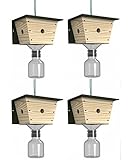 Best Bee Brothers Carpenter Bee Trap - 4 pack