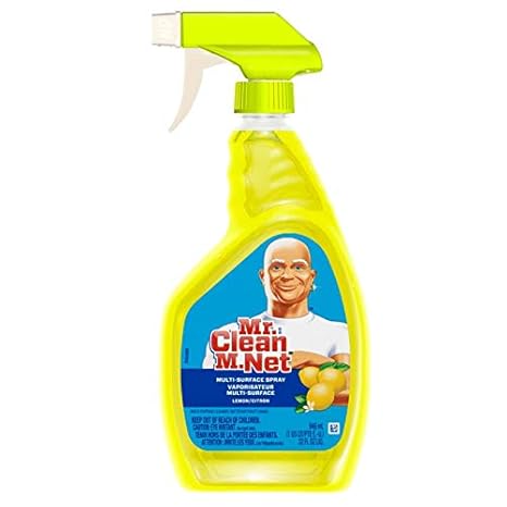 Amazon Com Mr Clean All Purpose Cleaner 32 Oz Trigger