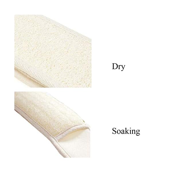 Exfoliating-Loofah-Back-Scrubber-Loofah-Pad-Natural-Plant-Materials-Bath-Loofa-Sponge-for-Shower-SPA-for-Men-and-Women Exfoliating Loofah Back Scrubber & Loofah Pad Natural Plant Materials Bath Loofa Sponge for Shower SPA for Men and Women