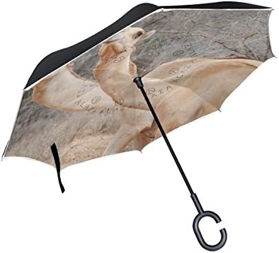 THENAHOME Reverse Inverted Auto Open Umbrella Upside Down Compact Lightweight &amp; Windproof Waterproof Straight Umbrellas with African Camel for Car &amp; Outdoor