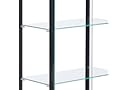 Coaster Home Furnishings 950170 Curio Cabinet, Black