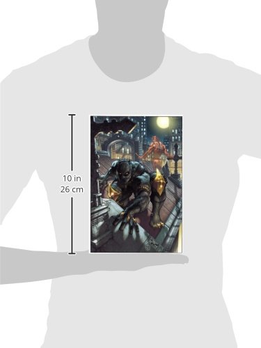 Black Panther: The Man Without Fear Volume 1: Urban Jungle (Black Panther (Unnumbered))