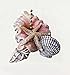 Starfish Seashells Sea Shell Beach Fan Light Pull