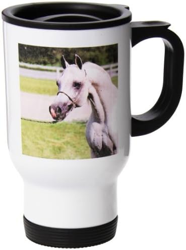 Wild Bramble Head Of Arab Horse Stainless Steel Travel Mug, 14-Ounce