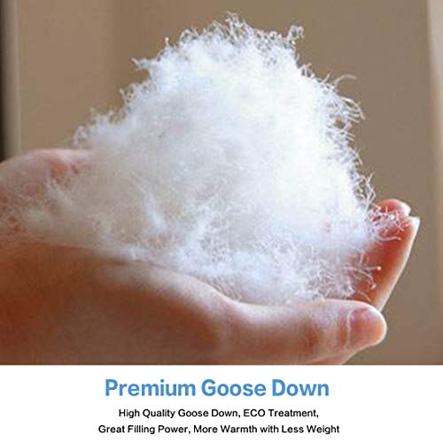 FAIRYLAND Luxurious Siberian Goose Down Comforter King Size Winter, Soft 1800 Series Premium