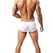HP95(TM) Mens Bikini Underwear, Sexy Breathable Bulge Pouch Boxer Briefs Shorts (M, White)