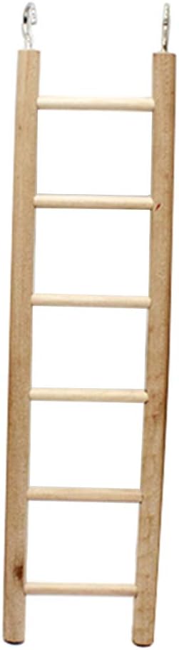 The 9 Best Penn Plax 7Step Wooden Bird Ladder