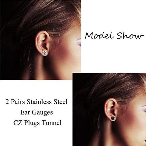 JOERICA 2 Pairs Stainless Steel Ear Gauges CZ Screw Plugs Tunnel Ear