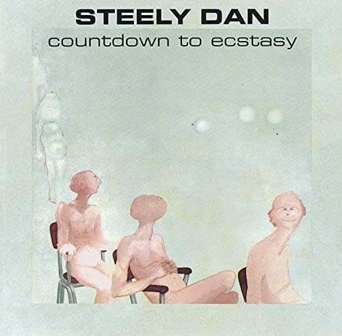 STEELY DAN - Citizen Steely Dan: 1972-1980 (box Set) - Amazon.com