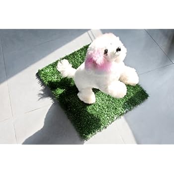 GOLDEN MOON Grass Mat Series Artificial Turf Pet Potty Trainer Indoor Outdoor Replacement Pet Grass Mat 20