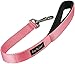 Short Dog Leash Padded Handle Wide Nylon Traffic Lead 22
