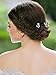 Yean Bridal Hair Pins Wedding Rhinestones Hair Clips Accessories for Women and Girls (Set of 3) (Silver)
