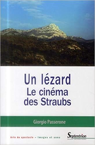 Amazon Fr Un Lezard Le Cinema Des Straubs Passerone Giorgio Livres
