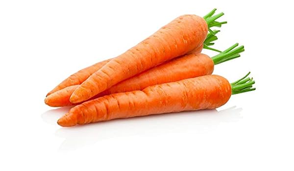 Zanahoria