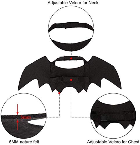 JHFY Cat Bat Costume - Black Cat Bat Wings Cosplay - Pet Costumes Apparel for Cat Small Dogs Puppy for for Small Dogs and Cats Dress Up Accessories (Bat Wings)
