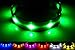 GoDoggie-GLOW USB Rechargeable LED Dog Safety Collar, Large ( 15 - 23.6