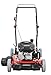 PowerSmart Lawn Mower, 21-inch & 170CC, Gas Powered Push Lawn Mower, 2-in-1 Gas Mower in Color Black, 5 Adjustable Heights (1.18''-3.0''), DB2321CR