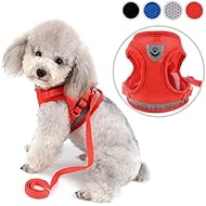 Zunea Small Dog Harness Leash Set No Pull Reflective Adjustable Step-in Soft Mesh Padded Puppy Vest Harness Leads, Cat Harness Escape Proof for Walking, for Girl Boy Pet Dogs Kittens Red S
