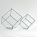 Cube Shaped Succulent Pyramid Tabletop Succulent Plant Terrarium Box