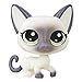 Littlest Pet Shop Siamese Playset