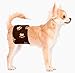 Cuddle Bands Male Dog Belly Band for Housetraining and Incontinence - Washable and Reusable Dog Diaper (Paw Print Medium: 17-19