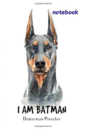 batman doberman