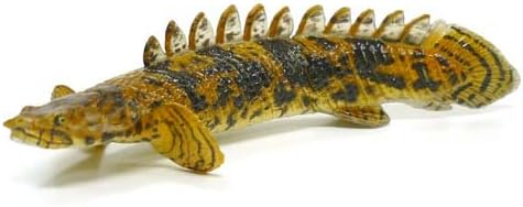 Amazon 食玩 チョコq ペット動物 第5弾 145 ポリプテルス エンドリケリー ノーマル 通販