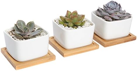 SINOVAL White Ceramic Plant Pot Square Design For Succulent/Cactus, Modern Garden Decorative, 3 Pack With Bamboo Tray