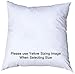 Pillowflex Premium Polyester Throw Pillow Insert - 28x28 - Ultra Soft Square Throw Pillow, Couch Sham, Lumbar, Back, Sofa - Machine Washable - Decorative Accent Form - 1 Soft Pillow