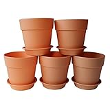 Axe Sickle 3.9x3.5 inch Plastic Planter Small Plastic Plant Pot, Indoor Flower Pot, Plant Pot, Mini Flower Seedling Nursery Pot, Flower Pot with Pallet (6pcs Brown)