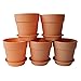 Axe Sickle 3.9x3.5 inch Plastic Planter Small Plastic Plant Pot, Indoor Flower Pot, Plant Pot, Mini Flower Seedling Nursery Pot, Flower Pot with Pallet (6pcs Brown) primary