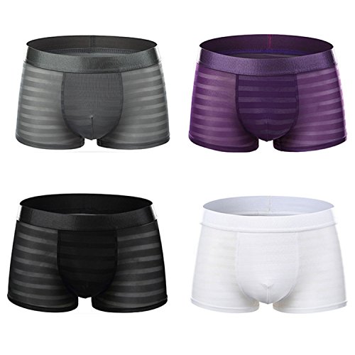 Sandbank Men s Sexy Lingerie See Through Mesh Boxer Briefs Underwear Shorts (US L = Asian Tag 3XL, 4 Pack-Mix Color #1)