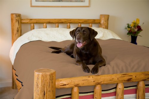 Mambe 100% Waterproof Pet Blanket (Large 58"x84", Cappuccino)