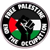 Free Palestine End the Occupation Palestinian Flag Fist Human Rights State Gaza West Bank East Jerusalem Apartheid 1.2" Enamel Pin Badge