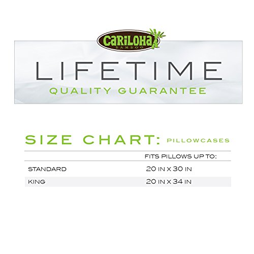 Cariloha Classic Bamboo Pillow Cases 2 Piece Pillowcase Set Softest