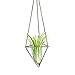 Mkono 3 Pack Hanging Air Plant Holder Himmeli for Tillandsia Display Gemometric Planter with Chains Home Decor for Airplants, Bronze