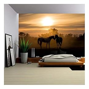 Silhoutte Horses in Love in The Netherlands at Sunset - Removable Wall Mural | Self-Adhesive Large Wallpaper - 66x96 inches
