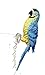 Garden at Home Tropical Decor Macaw Parrot Figurine Pot Hanger, 9