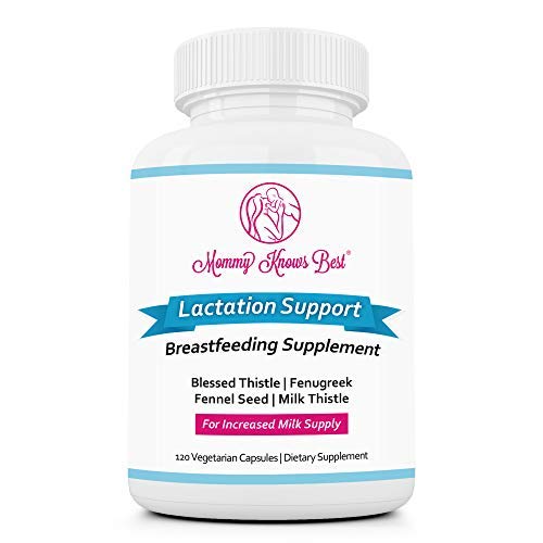 Lactation Supplement Breastfeeding Support Increase Mothers Breast Milk Supply Breast Feeding Supplements For Breastmilk With Fenugreek Seed Extract Blessed Thistle Fennel Seed 120 Veggie Pills Buy Online In Germany At