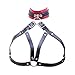 HuiZhi Women Bra Harness Breast Bondage Gothic Body Caged Bralette Cupless Nipple Bondage Strappy Lingerie Restraint Neck Collar (Black)
