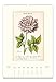 Cavallini Papers & Co CAL16-19 2016 Botanica Wall Calendar