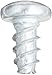 Steel Thread Rolling Screw for Plastic, Zinc Plated, Pan Head, Phillips Drive, #4-20 Thread Size, 1/4