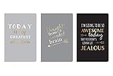 Eccolo World Traveler Set of 3 Pocket Jotters 4 x 6" Journals, Greatest Gray (T307G)