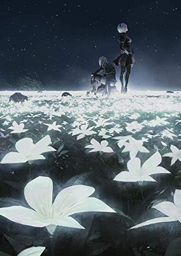 ミュージック NieR:Theatrical Orchestra 12020 Blu-ray Amazon.com: NieR: Theatrical Orchestra 12020 (Blu-Ray Audio Disc