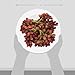 Organic Red Seedless Grapes, 2 Lb