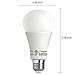 Enegitech A21 LED Bulb Omnidirectional 14W (100W Equivalent) 1450 Lumens 5000K Daylight Glow E26 Home Commercial Lighting, Pack of 4