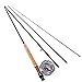 Sougayilang Saltwater Freshwater Fly Fishing Rod with Reel Lines Flies Combo Kit (Silver Fishing Kits)